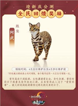天龙八部私服各个城市